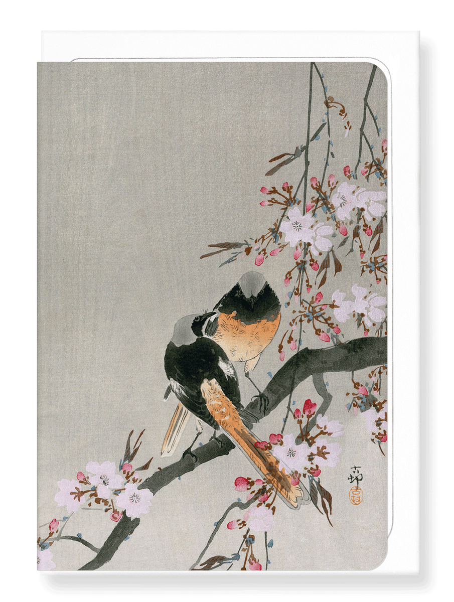 Short and Sweet + Art Card サイン入りアートカード付 Short and Sweet + Art Card サイン入りアートカード付 March