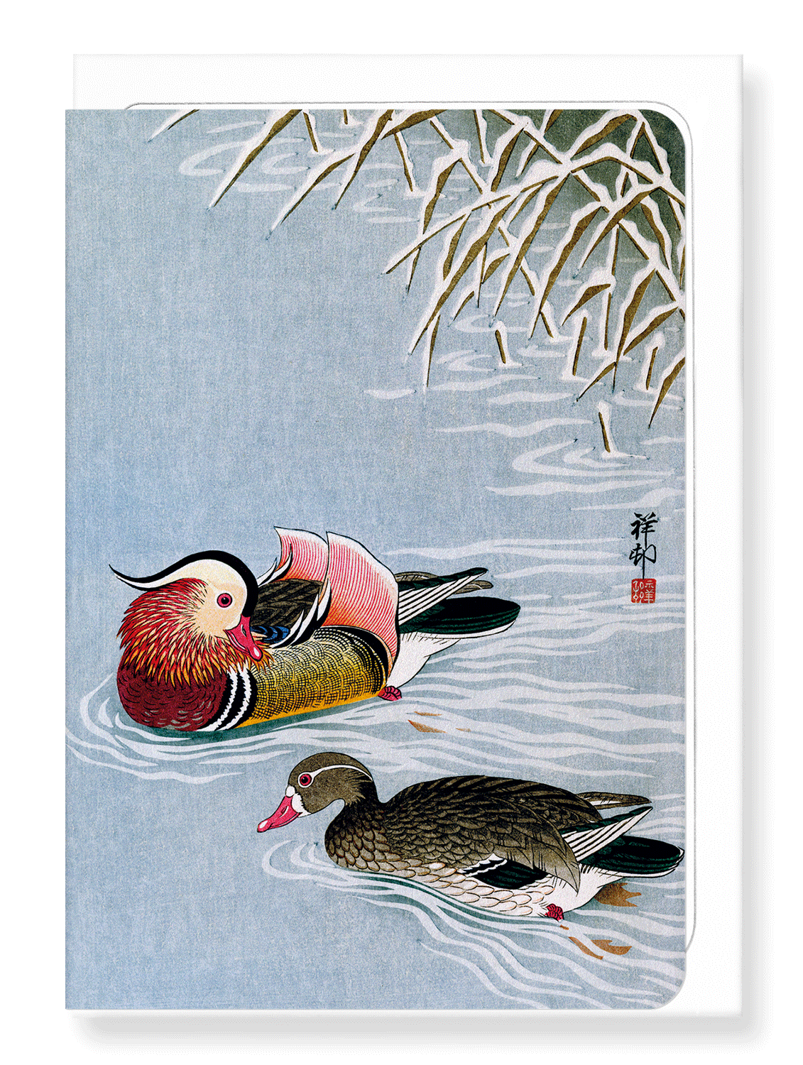 Ezen Designs - Mandarin duck - Greeting Card - Front