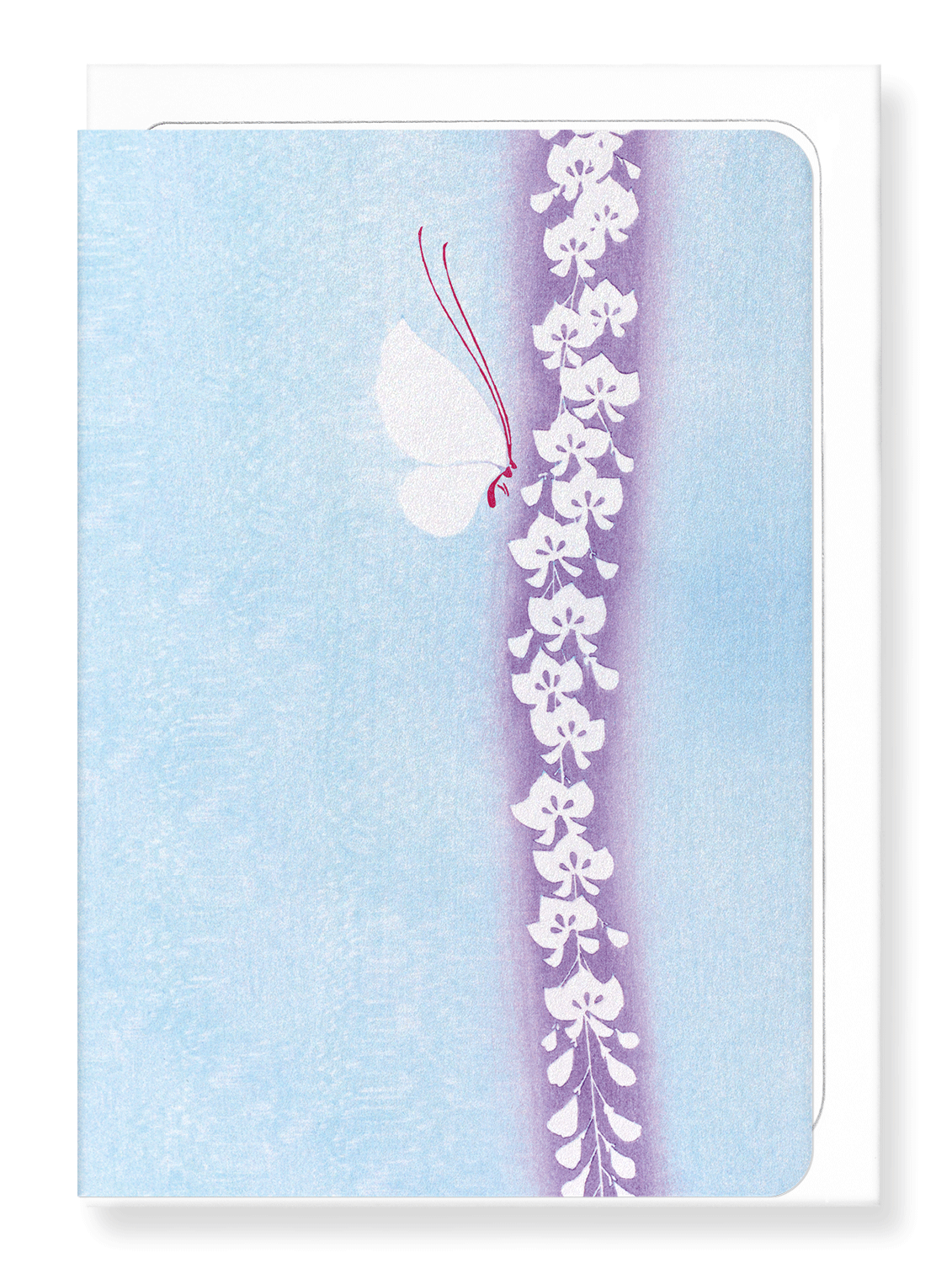Ezen Designs - White butterfly - Greeting Card - Front