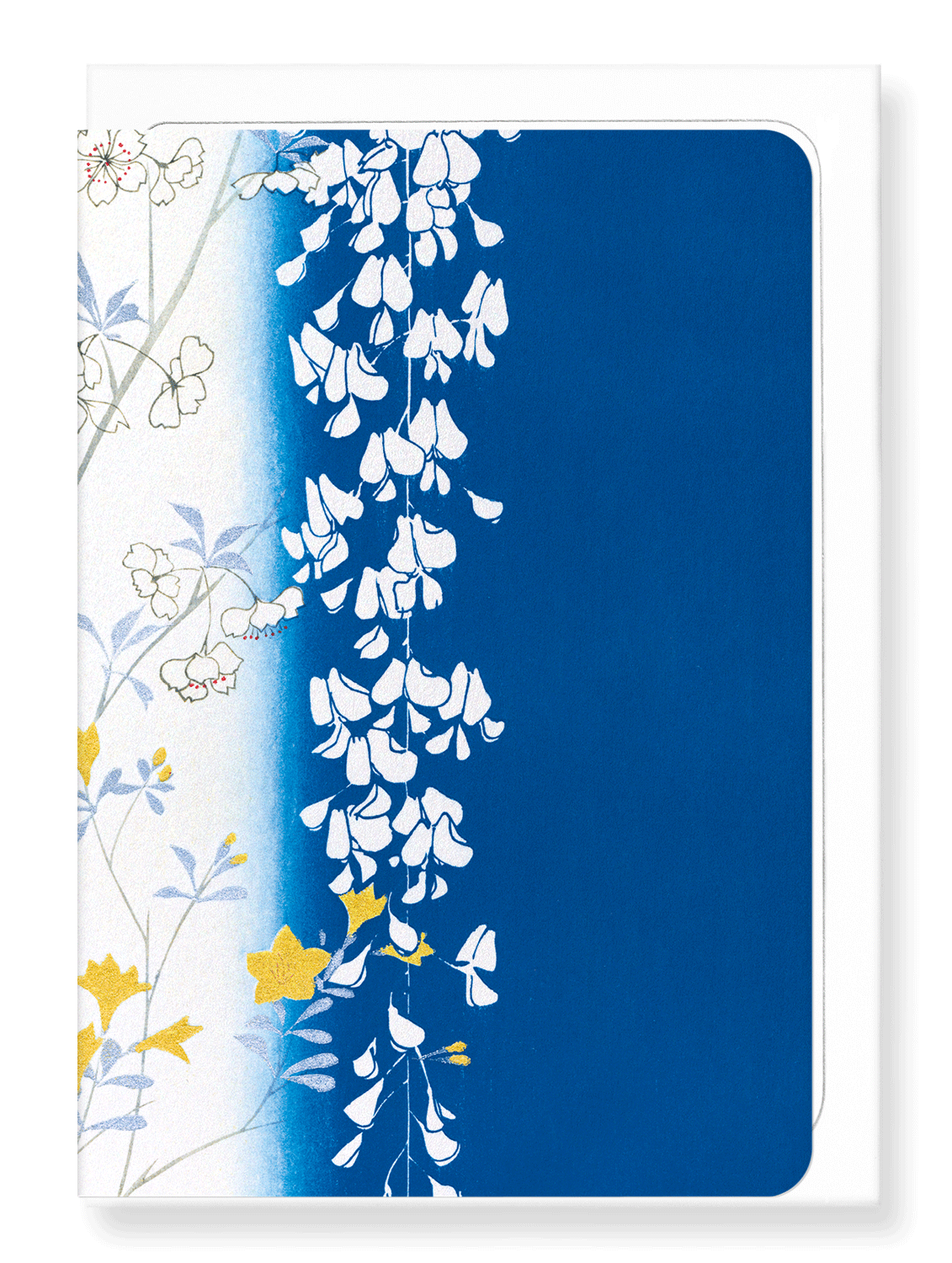 Ezen Designs - Wisteria and blossoms - Greeting Card - Front