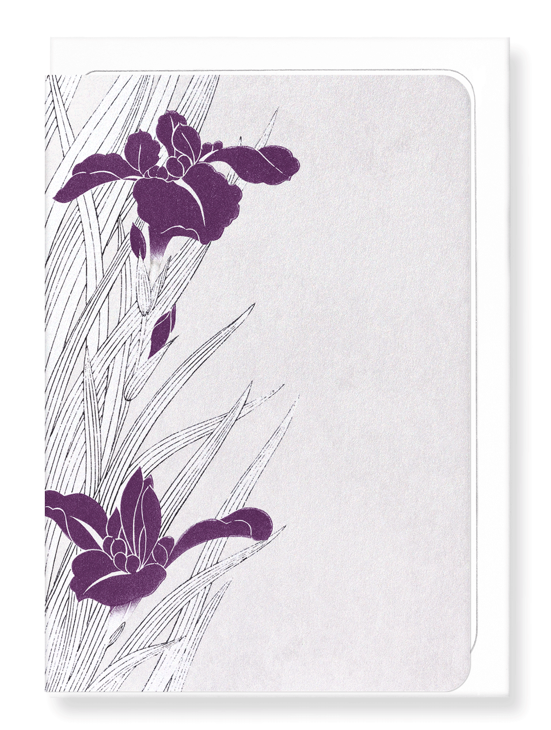Ezen Designs - Purple iris design - Greeting Card - Front