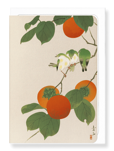 Ezen Designs - White-eye birds and persimmon fruits - Greeting Card - Front