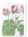 Ezen Designs - Gloxinia Flower (c.1910) - Greeting Card - Front