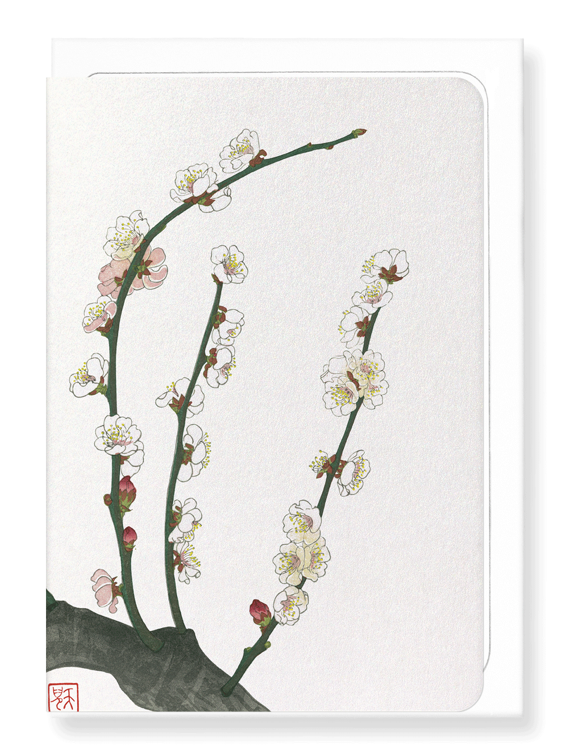 Ezen Designs - Plum blossom - Greeting Card - Front