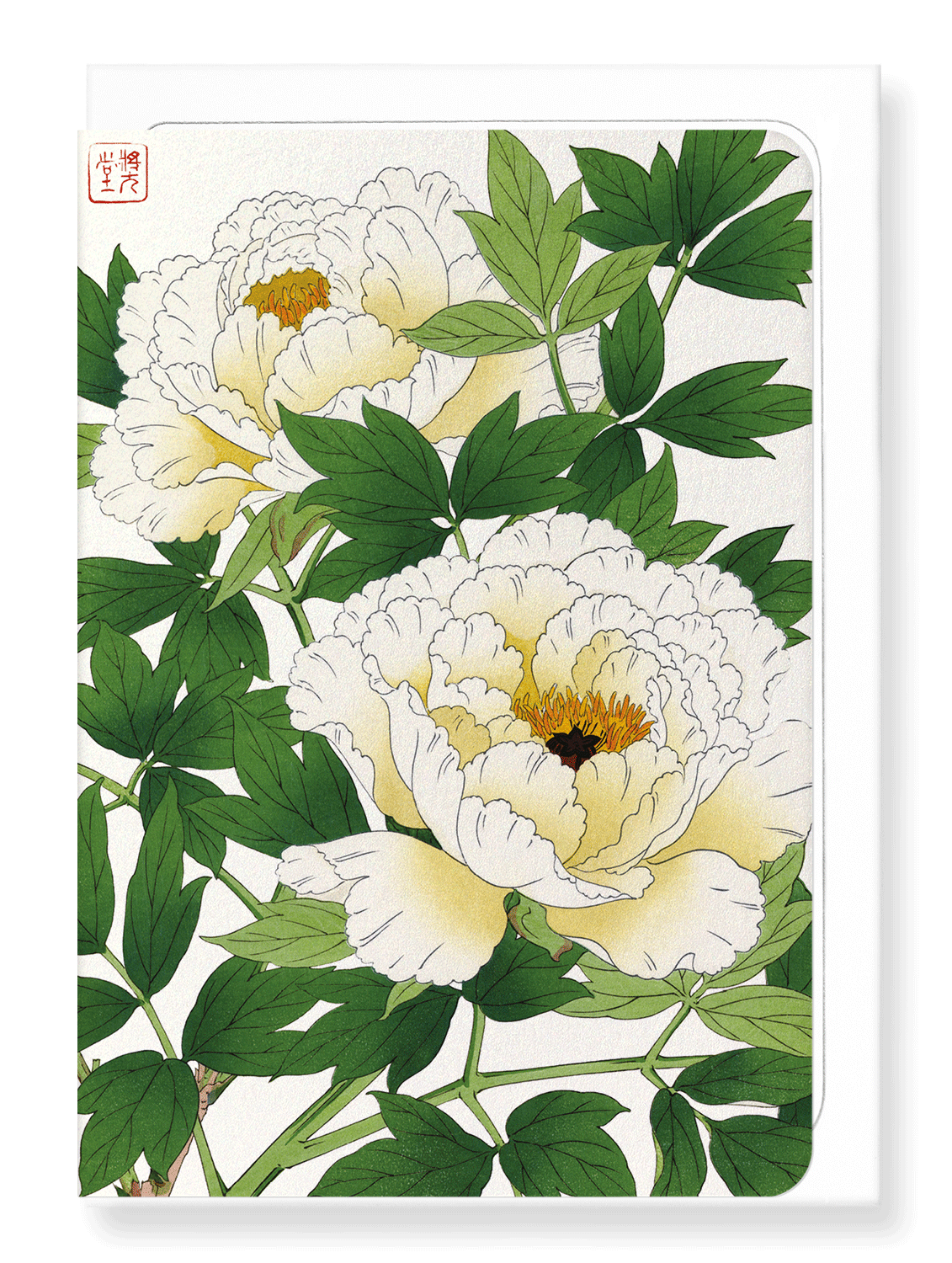 Ezen Designs - White peony - Greeting Card - Front