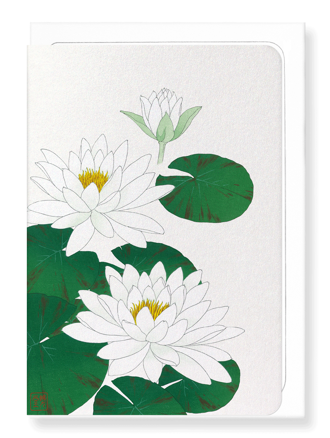 Ezen Designs - White waterlily - Greeting Card - Front