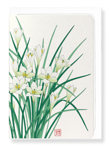 Ezen Designs - Zephyr lily - Greeting Card - Front
