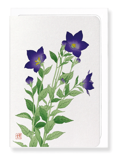 Ezen Designs - Purple bell flower - Greeting Card - Front