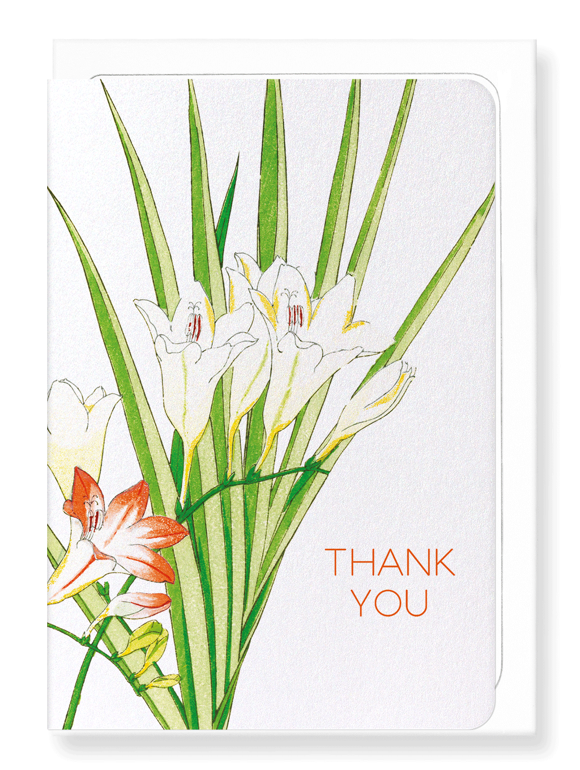 Ezen Designs - Thank you (freesia flower) - Greeting Card - Front