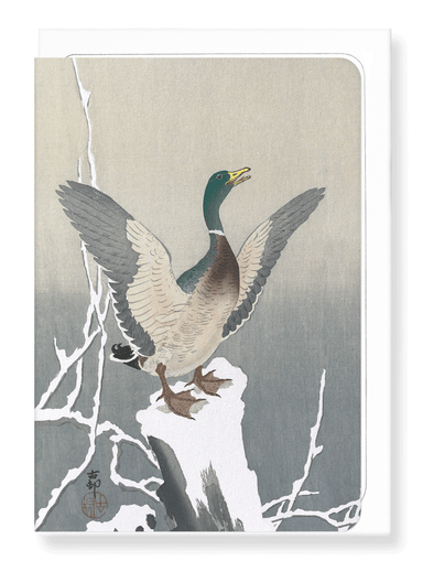 Ezen Designs - Duck on snowy tree stump - Greeting Card - Front