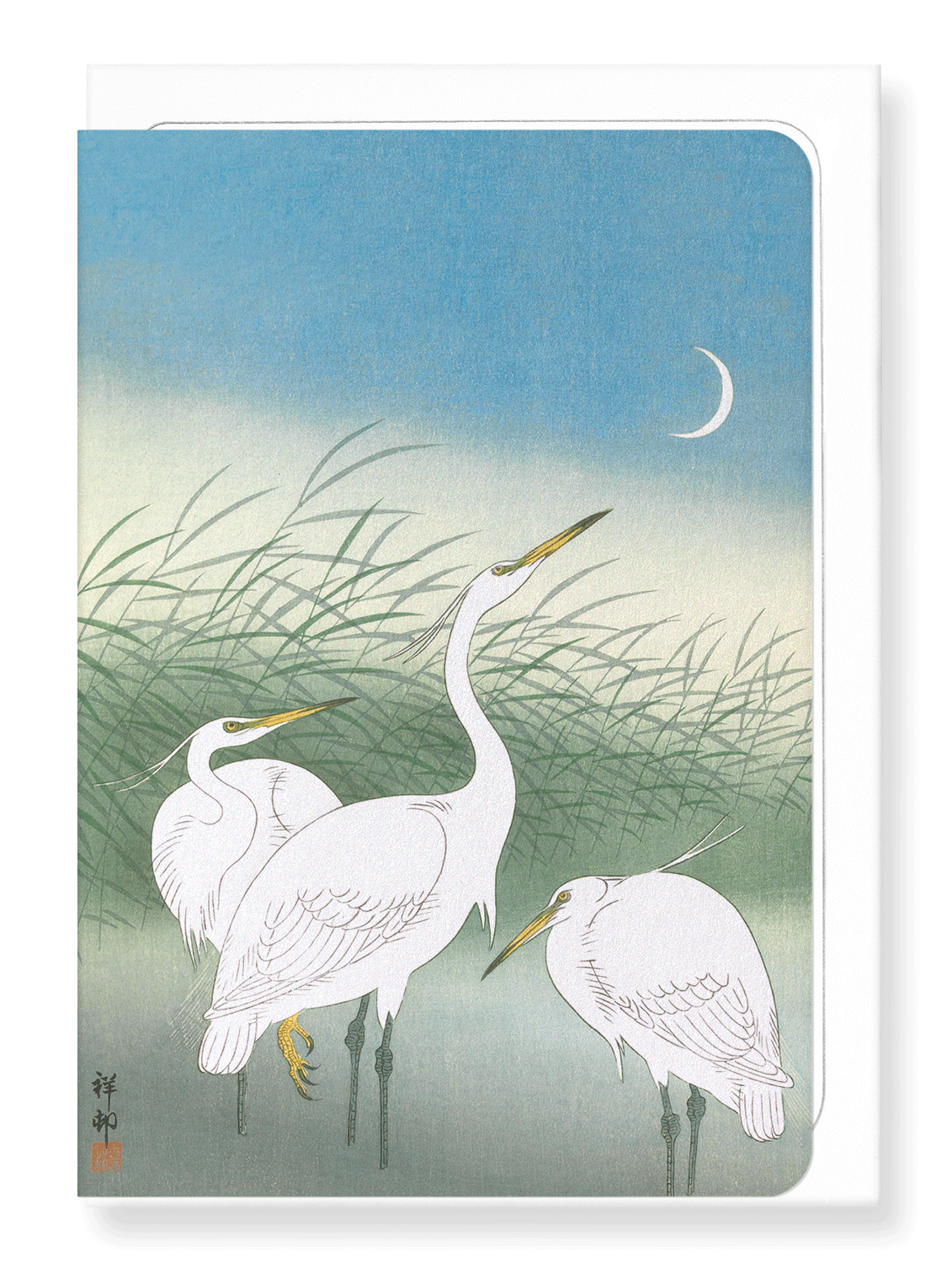 Ezen Designs - Herons in shallow water - Greeting Card - Front