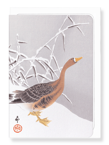 Ezen Designs - White fronted goose in the snow - Greeting Card - Front