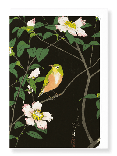 Ezen Designs - Japanese white-eye and camellia (c.1930) - Greeting Card - Front