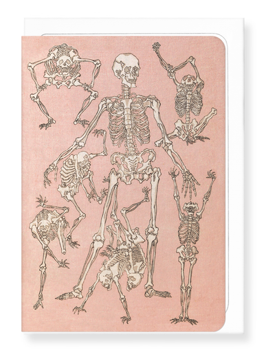 Ezen Designs - Study of Skeletons Front (1881) - Greeting Card - Front