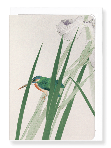 Ezen Designs - Kingfisher and iris (c.1900) - Greeting Card - Front