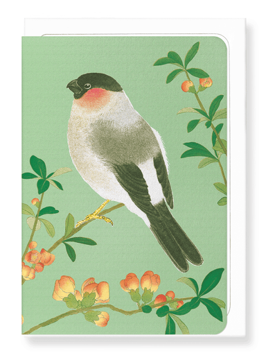 Ezen Designs - Eurasian Bullfinch with Chinese Quince (c.1930) - Greeting Card - Front