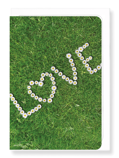 Ezen Designs - Daisy of love - Greeting Card - Front
