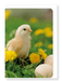 Ezen Designs - Easter chick - Greeting Card - Front
