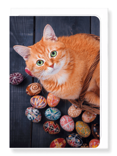 Ezen Designs - Easter cat - Greeting Card - Front