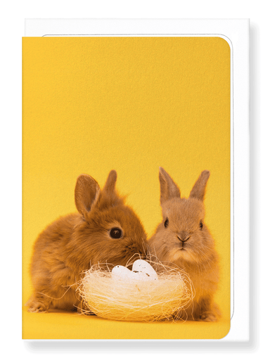 Ezen Designs - Easter bunnies - Greeting Card - Front