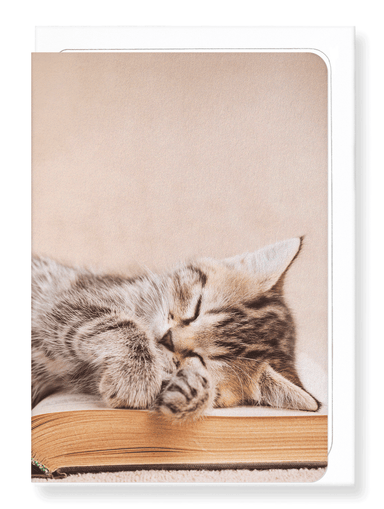 Ezen Designs - Kitten sleeping on a book - Greeting Card - Front