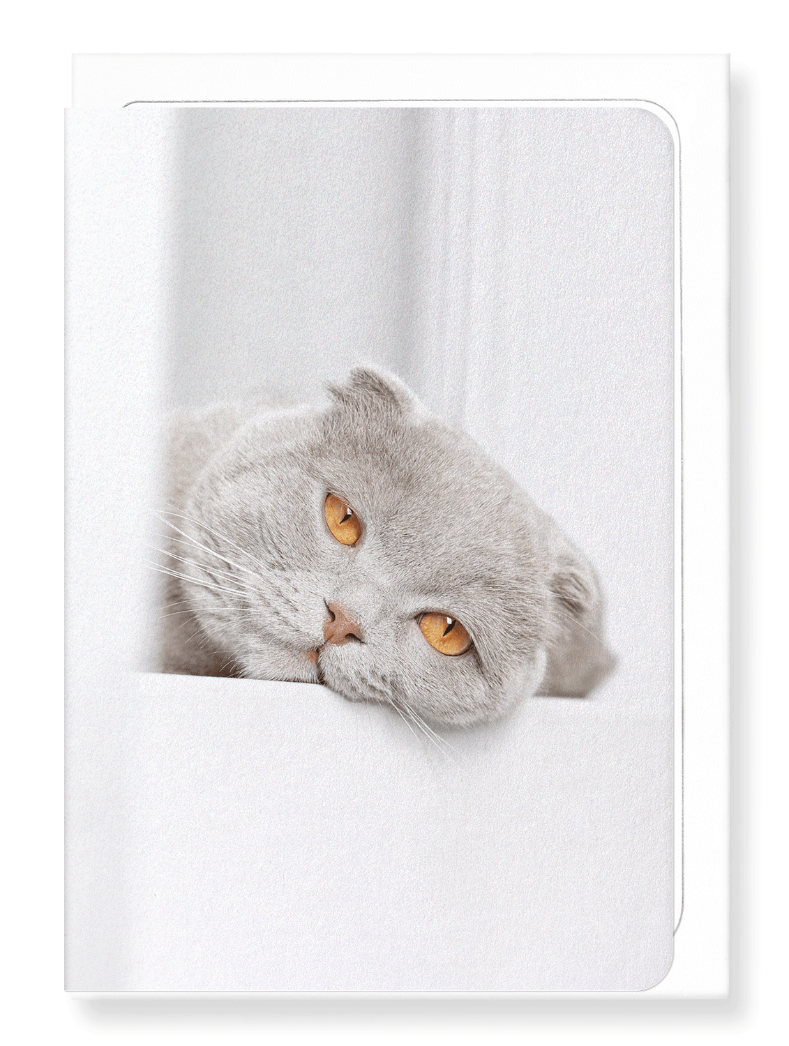 Ezen Designs - Lazy cat - Greeting Card - Front