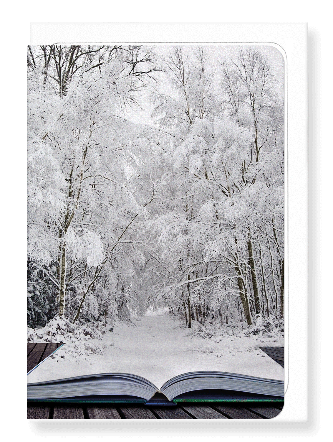 Ezen Designs - Literary winter wonderland - Greeting Card - Front