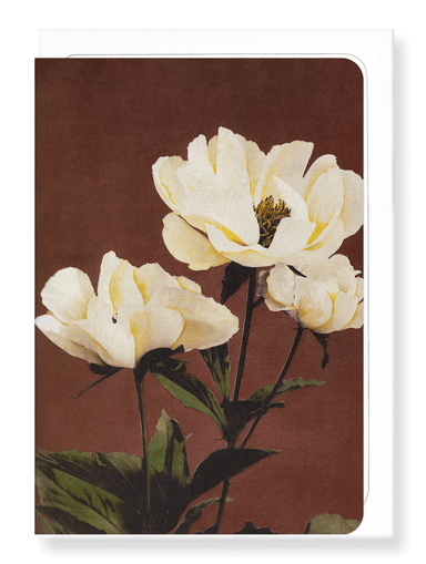 Ezen Designs - Photomechanical print of Hærdaceous Peonies (c.1890) - Greeting Card - Front