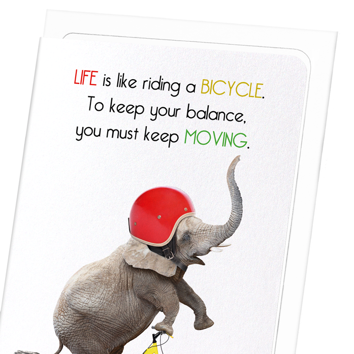 ELEPHANT AND BICYCLE