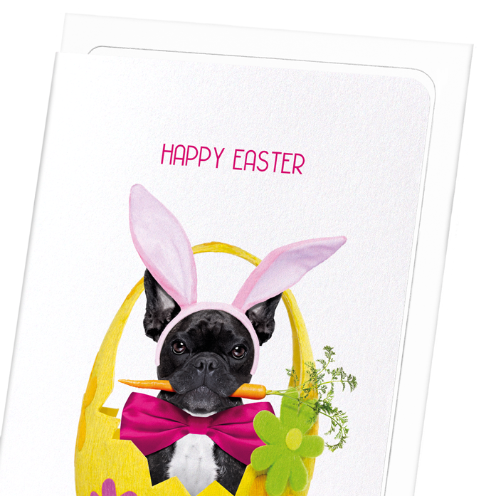 EASTER FRENCHIE BUNNY