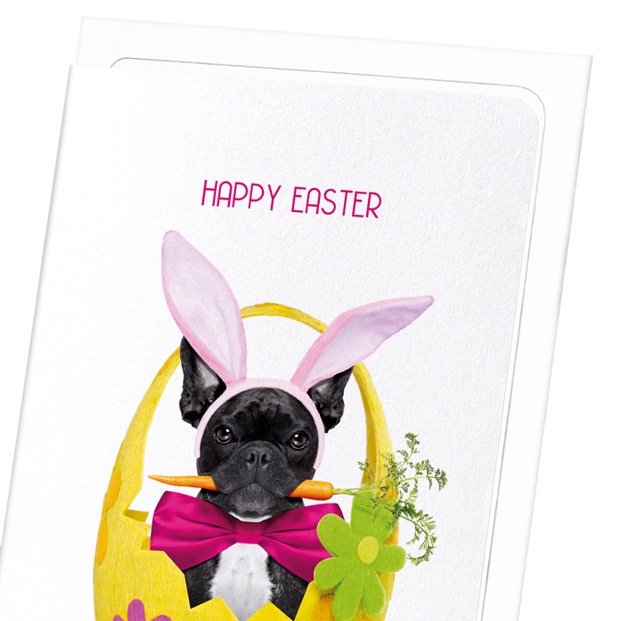 Easter frenchie best sale