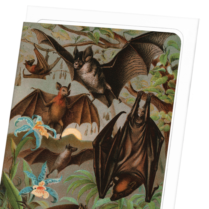 VARIOUS BATS (1880)