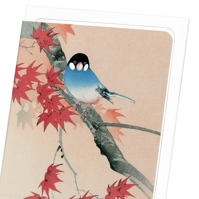 JAVA FINCH IN THE AUTUMN