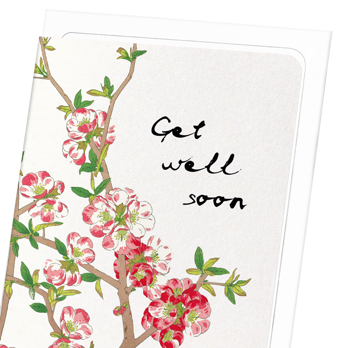 GET WELL SOON QUINCE FLOWERS
