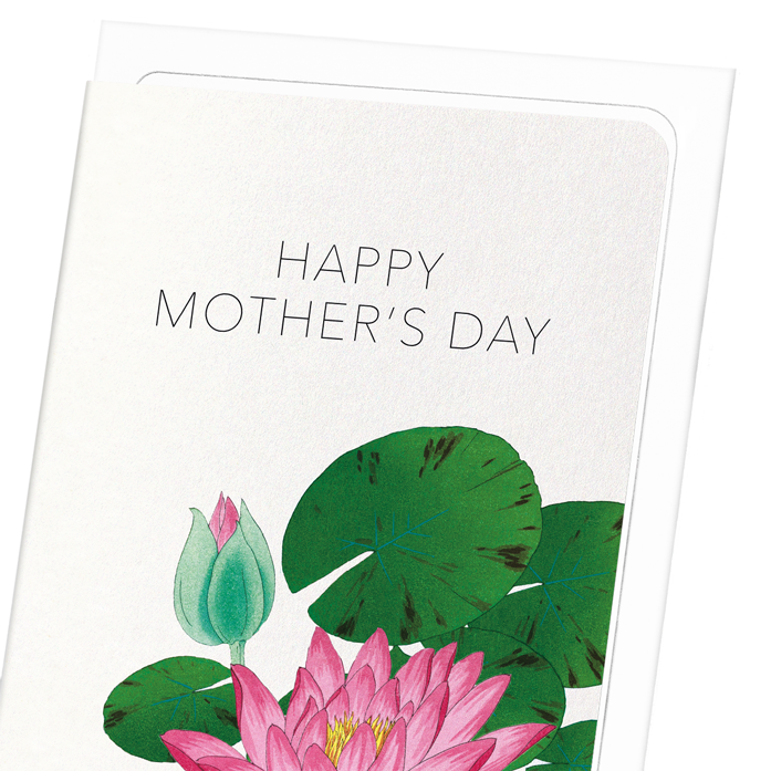 MOTHER’S DAY WATERLILY