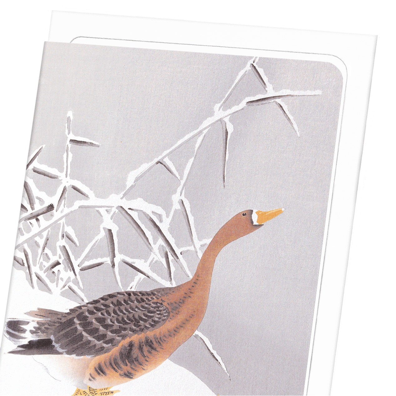 WHITE FRONTED GOOSE IN THE SNOW