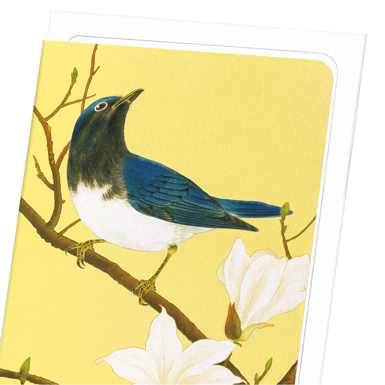BLUE-AND-WHITE FLYCATCHER AND MAGNOLIA TREE (C.1930)