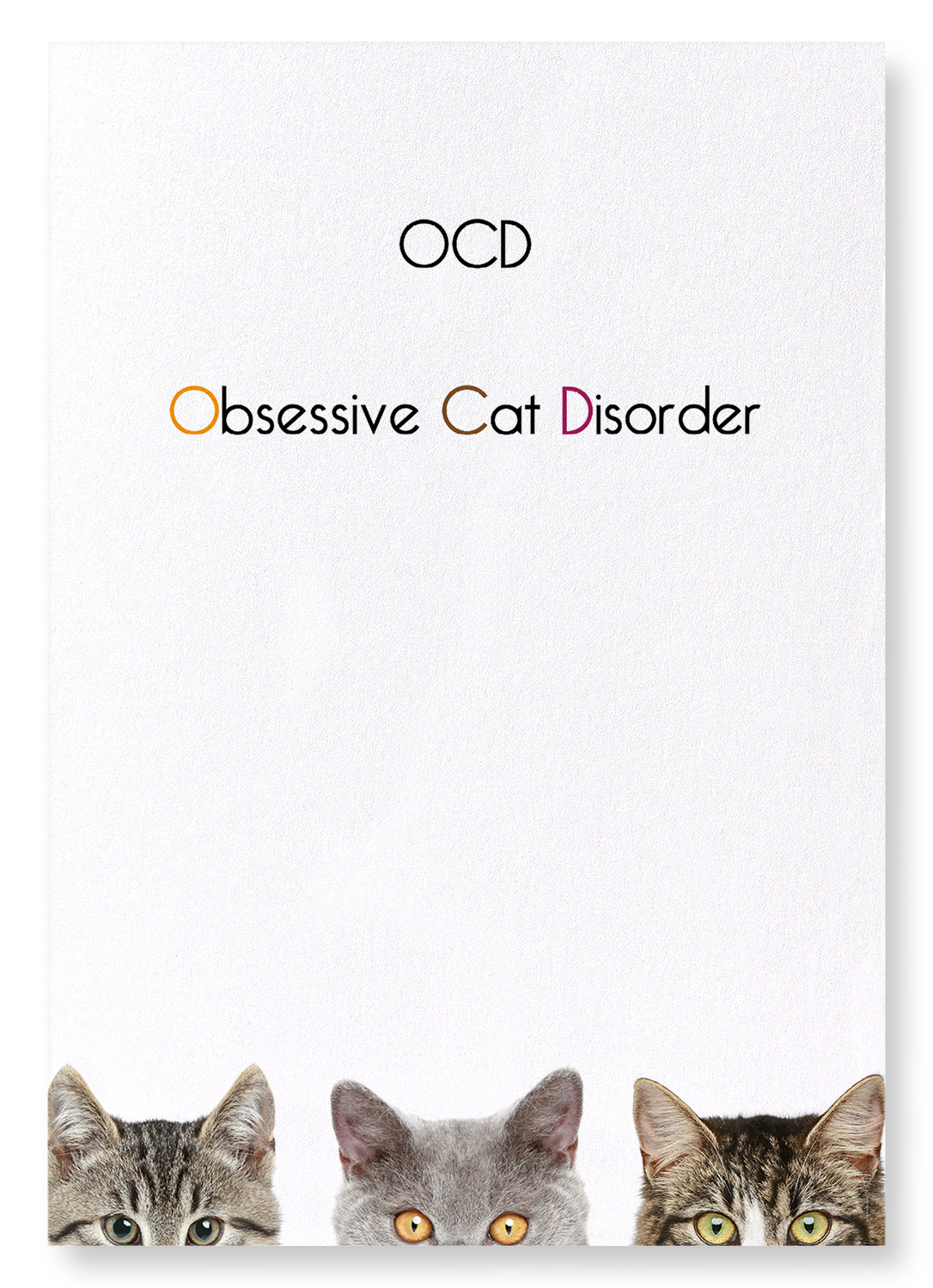 Ocd obsessive cat clearance disorder