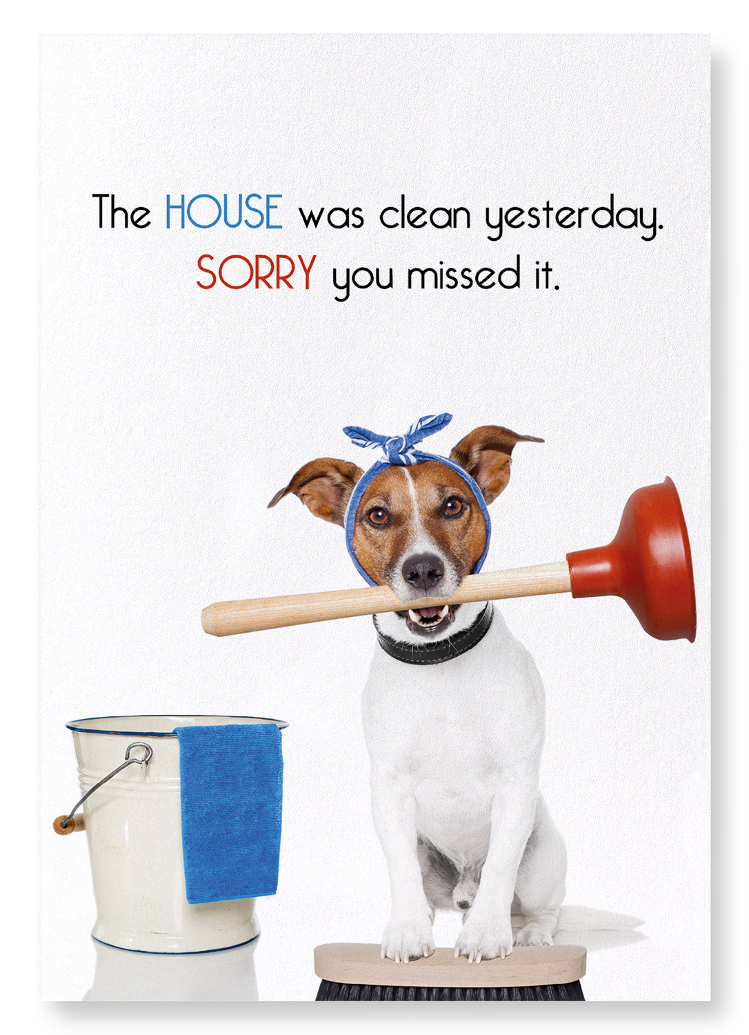 HOUSE CLEANING