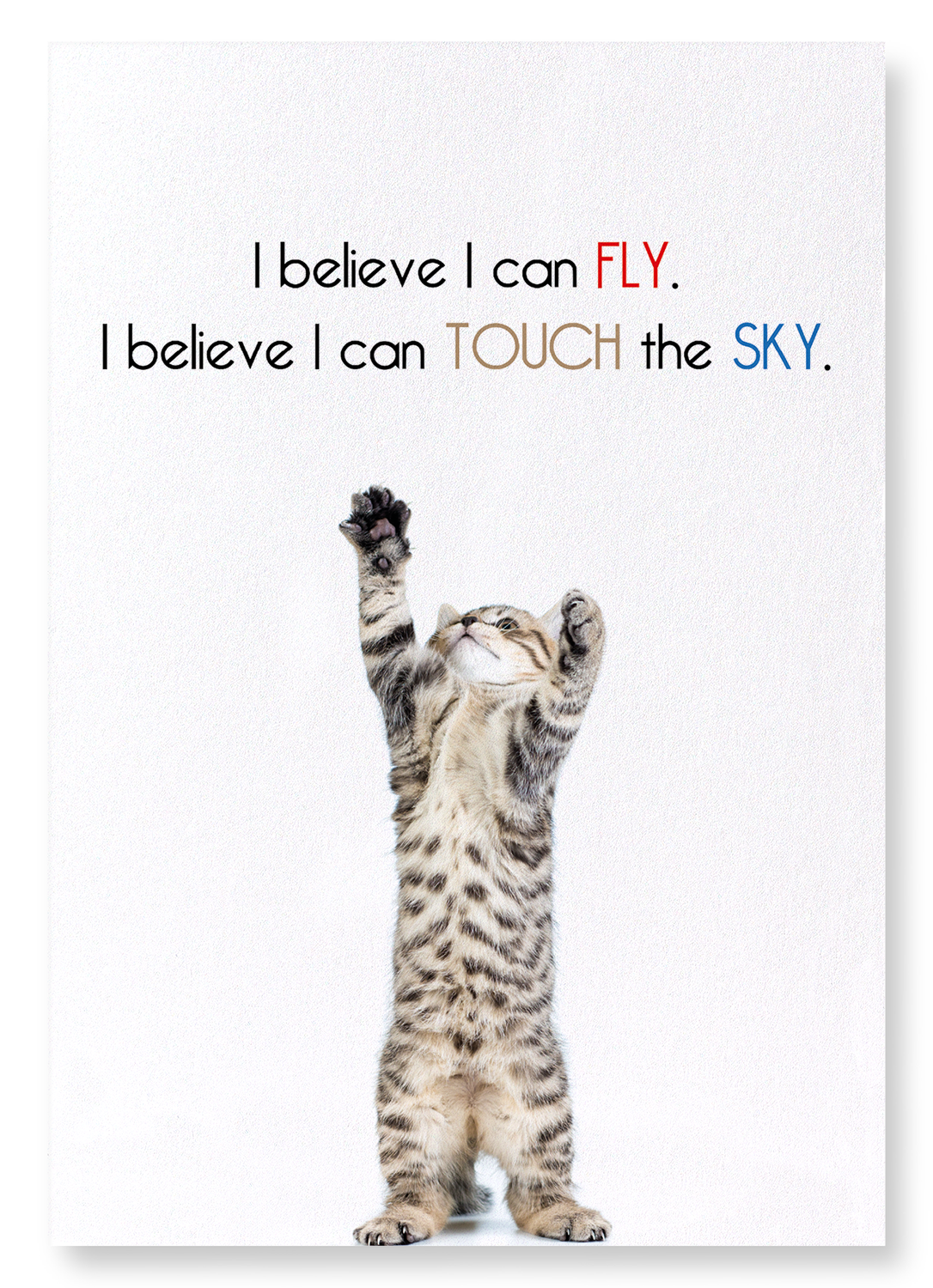 I BELIEVE I CAN FLY