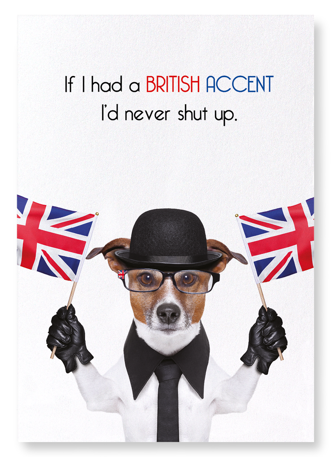 BRITISH ACCENT DOG