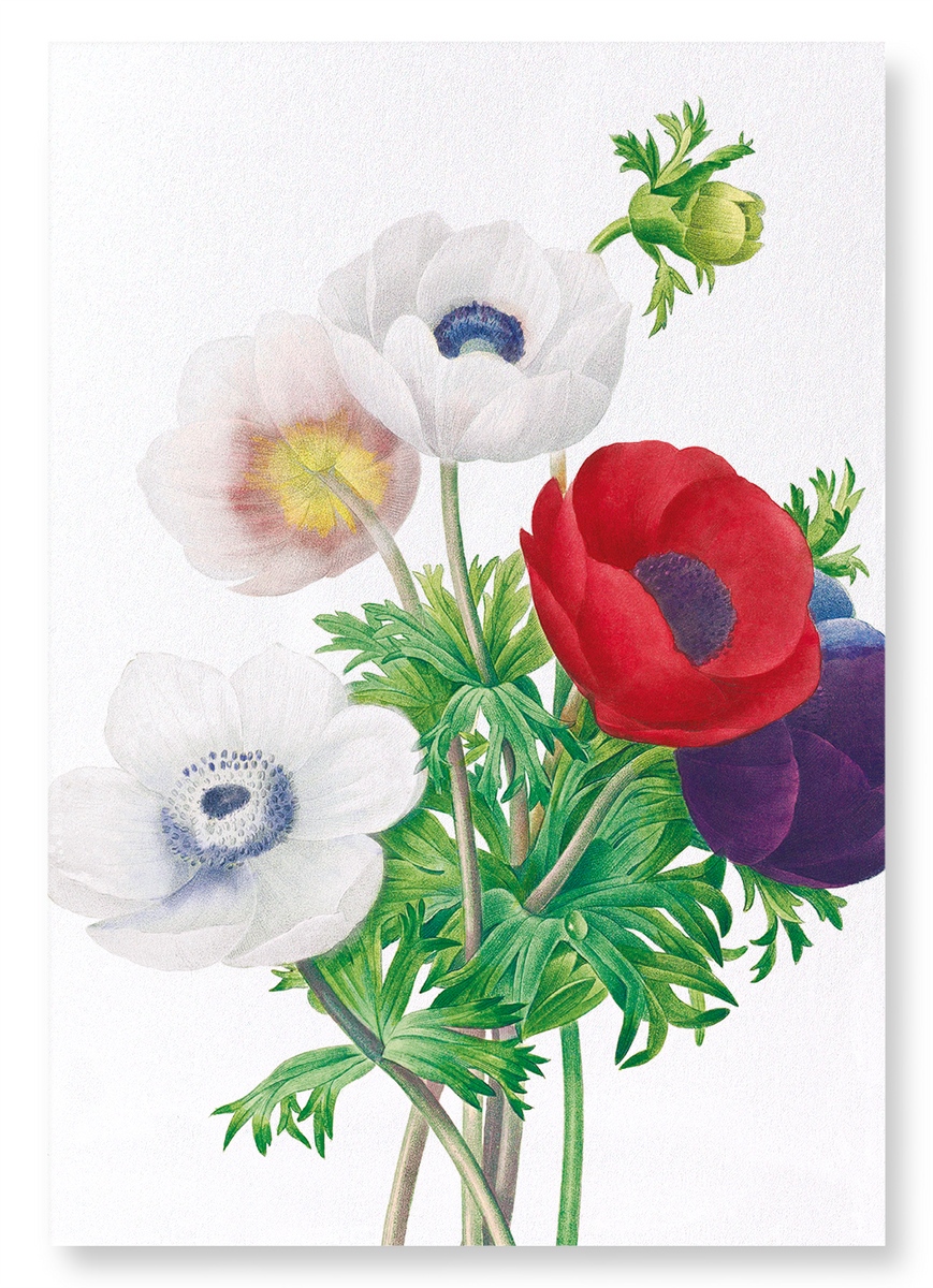 ANEMONE — Ezen Designs