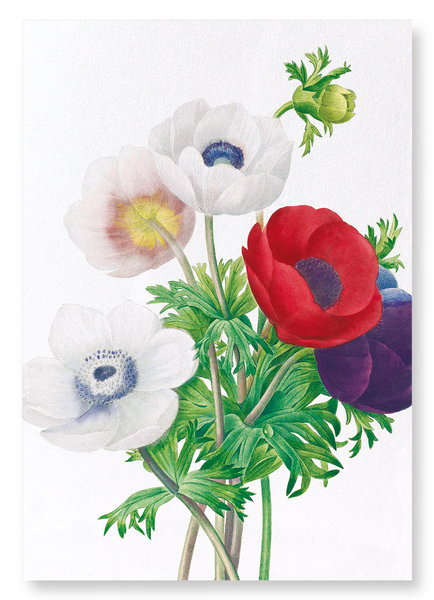 ANEMONE — Ezen Designs