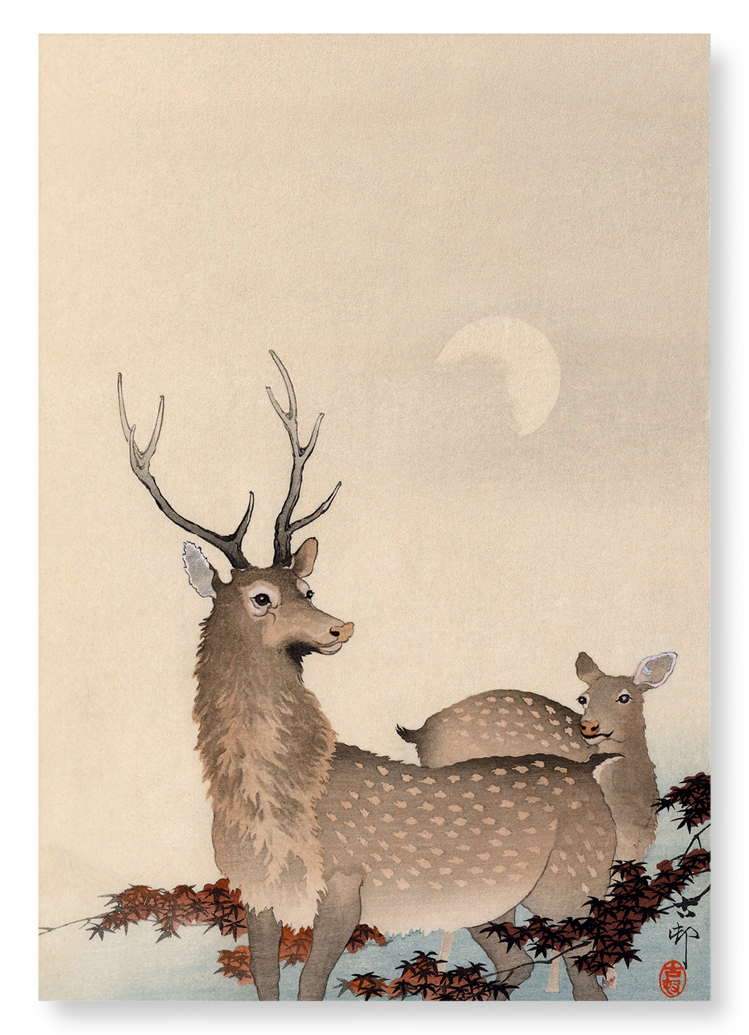 TWO DEER AND MAPLE