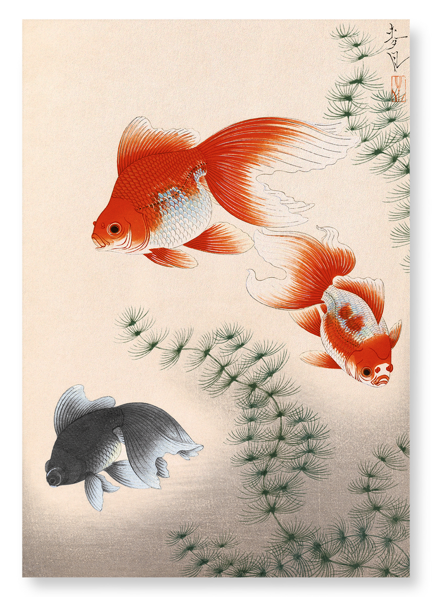 Japanese A4 and A3 art print: Goldfish - Ezen Designs