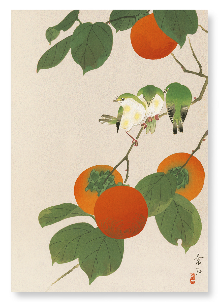 WHITE-EYE BIRDS AND PERSIMMON FRUITS — Ezen Designs