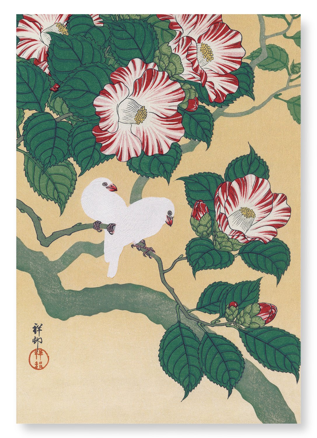 RICE BIRDS AND CAMELLIA