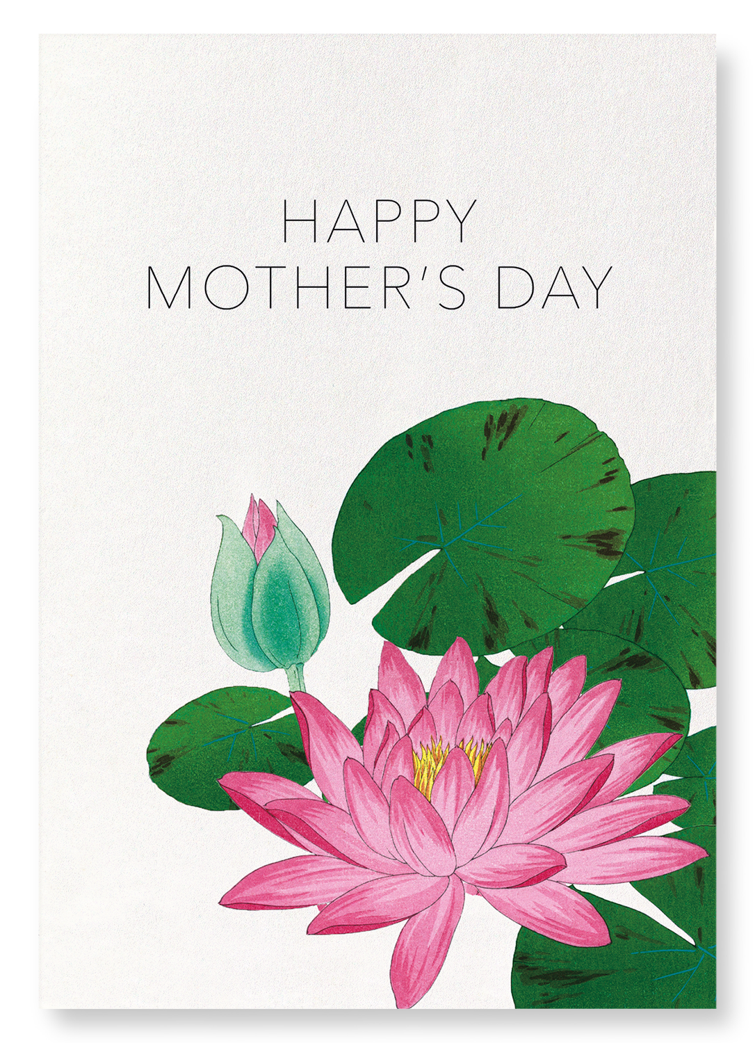 MOTHER’S DAY WATERLILY