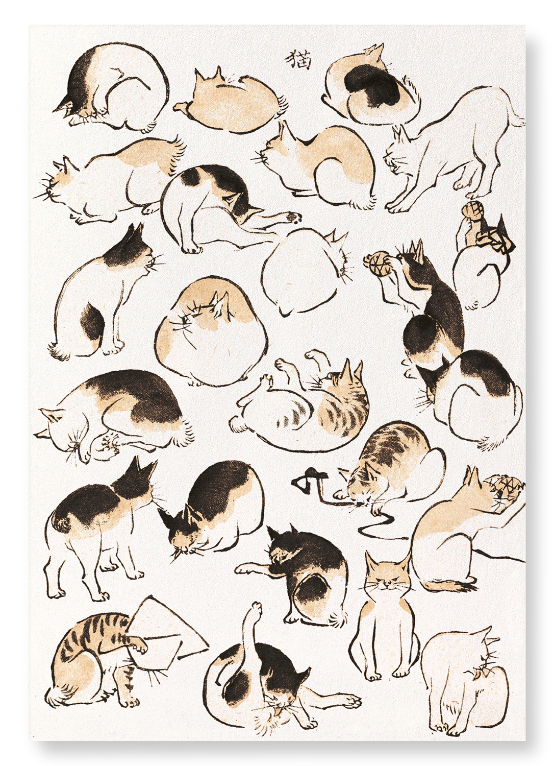 CATS (C.1830)