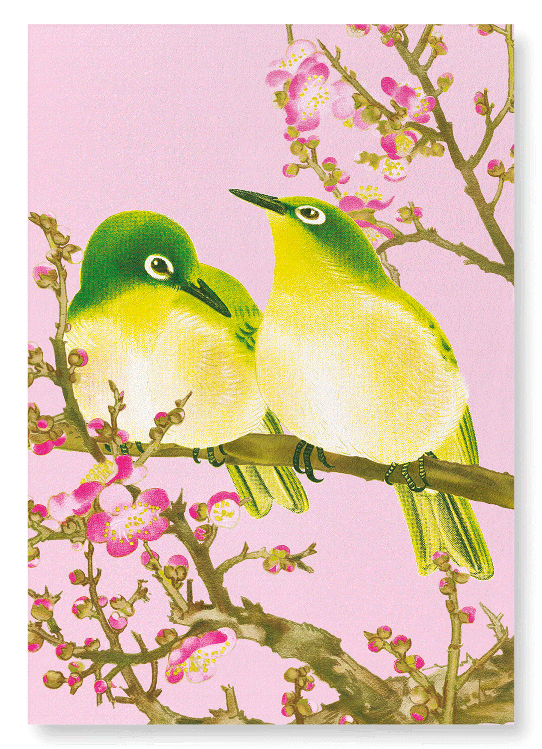 WARBLING WHITE-EYE WITH PLUM BLOSSOMS (C.1930)